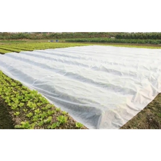 agrovlies weiße Textilie aus Biomasse 1,6x100m dick 70g/m2 megamix.sk