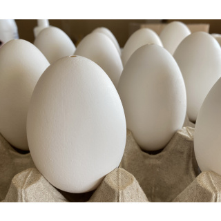 Geblasene Gänseeierschalen 10 Stück zum Dekorieren von Ostereiern