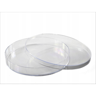 Petri-Schale PS 140x20mm 10 Stk