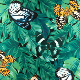 Stoff Jersey ITY Kimo Blätter Schmetterlinge Muster Strickware 0,5m