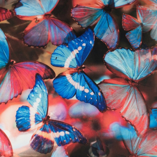 Stoff Viskose Twill hellblau glatt Schmetterlinge Muster 0,5m