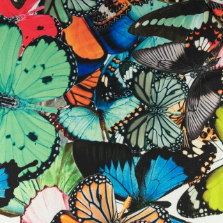 Stoff Viskose Twill glatt bunte Schmetterlinge Muster 0,5m