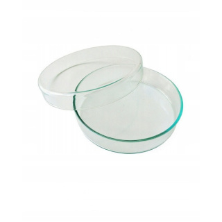 Glas-Petri-Schale 120x20mm