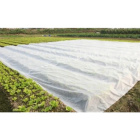 Agrofaser weiße Textilie aus Biomasse 1,6x100m dick 70g/m2