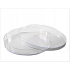 Petri-Schale PS 140x20mm 10 Stk