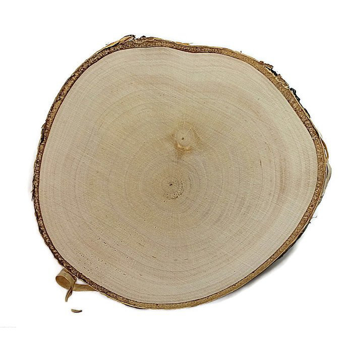 Holzscheibe Birke geschliffen 10-12cm 1cm megamix.sk