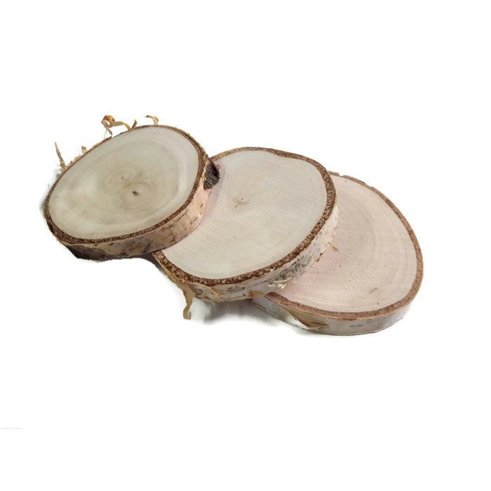 Geschliffene Birkenholzscheibe 6-8cm 1cm megamix.sk