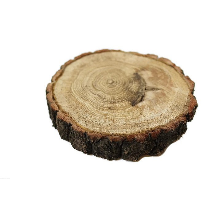Abgeschliffene Eichenholzscheibe 7-10cm 2cm megamix.sk