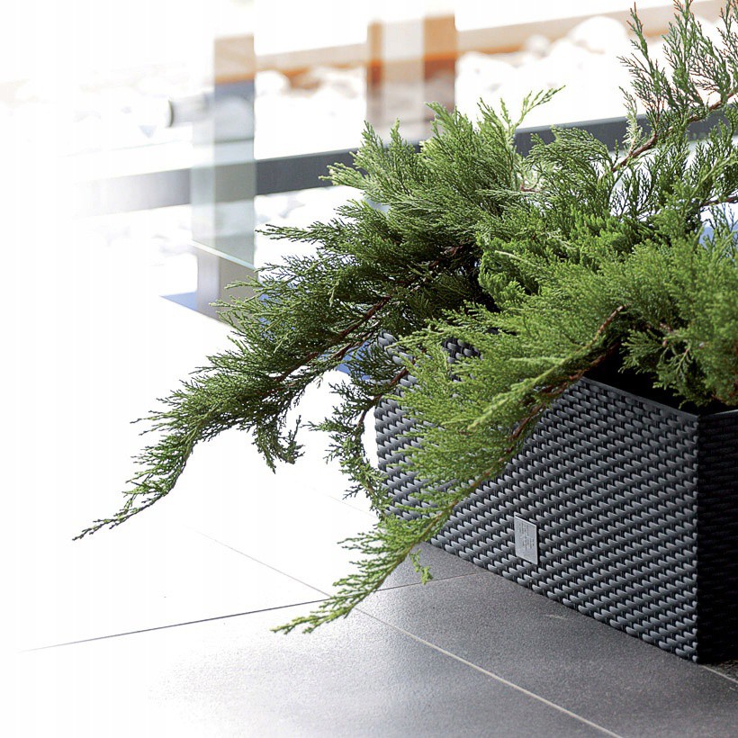 Blumentopf 50x18x19cm 17L Balkon Garten megamix.sk